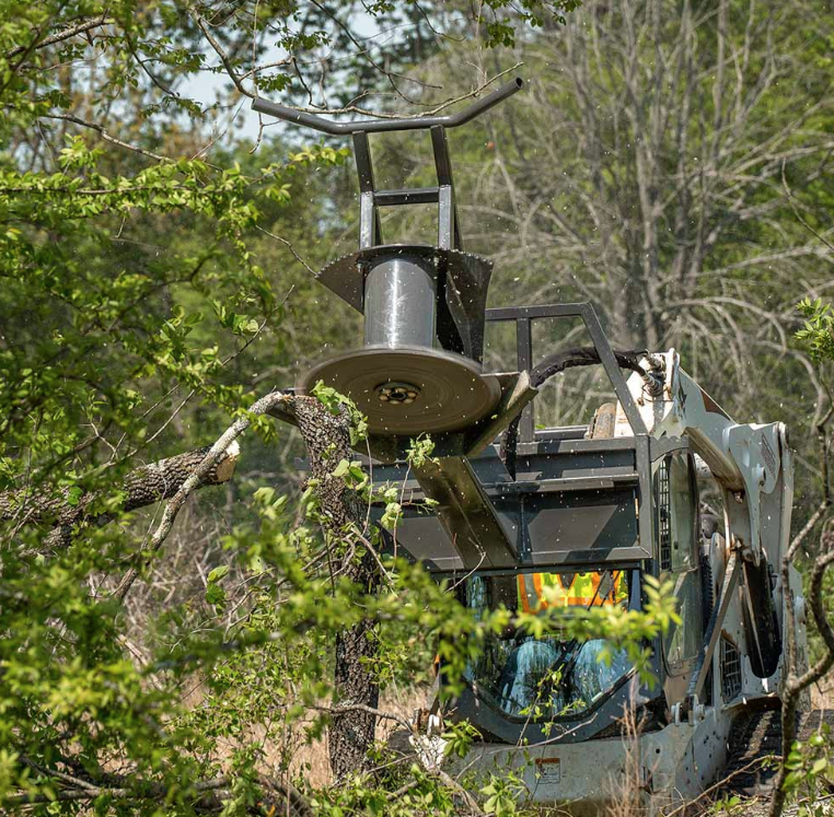 Fixed Tree Saw - by CID